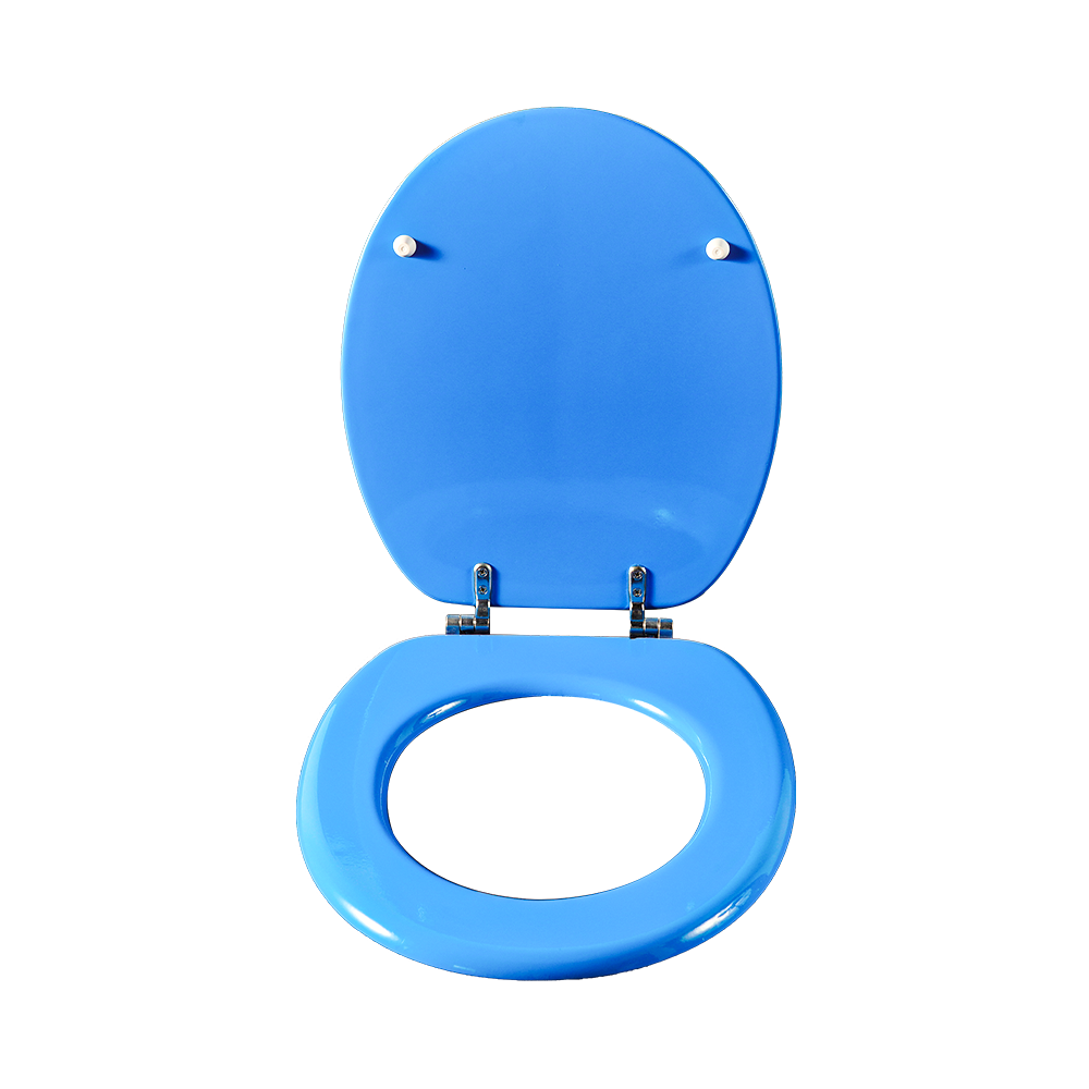 Full coverage water transfer printed toilet seat 