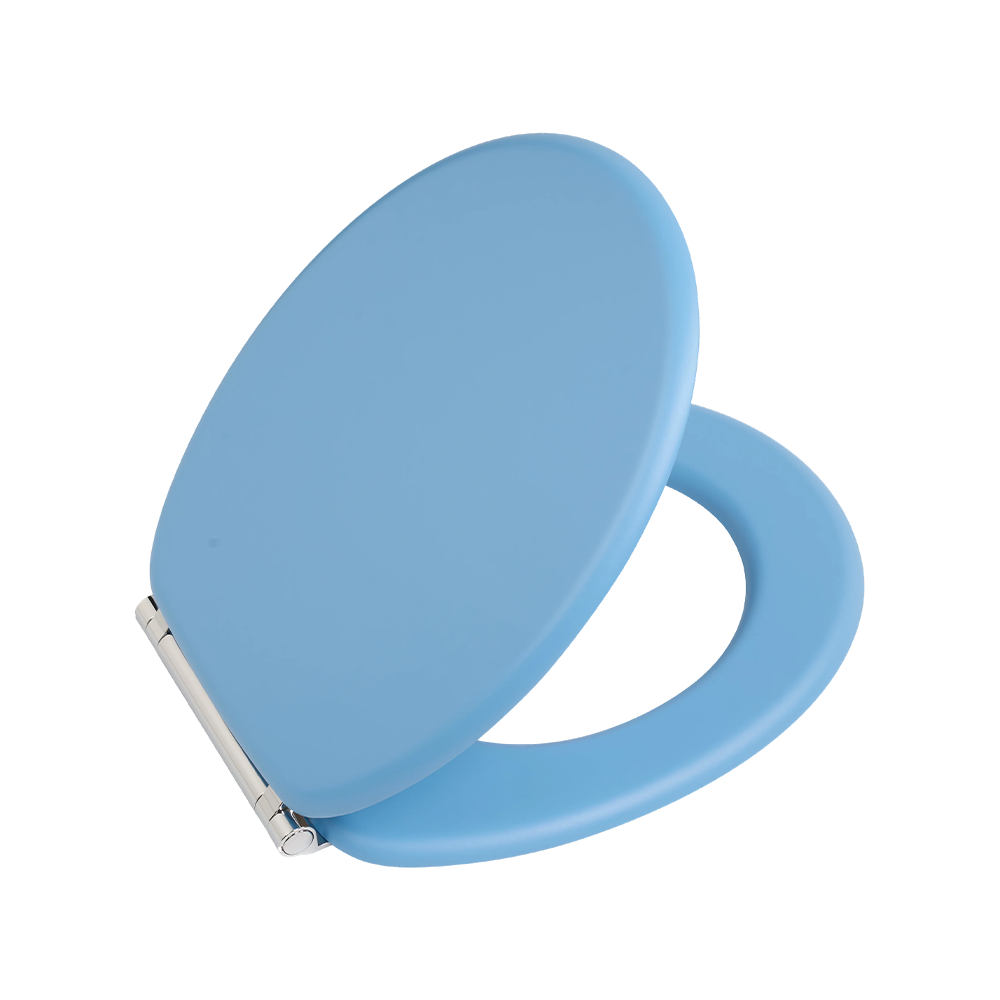 Sea blue matte skin-like textured molded toilet seat Sea blue matte skin-like textured molded toilet seat