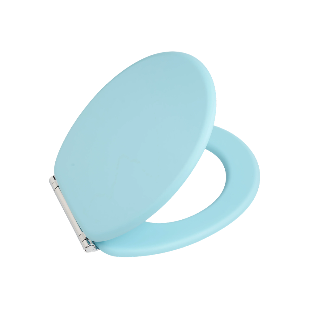 Sky blue matte skin-like textured molded toilet seat Sky blue matte skin-like textured molded toilet seat