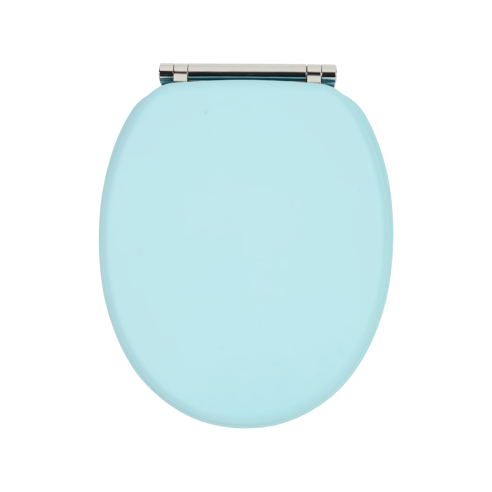 Sky blue matte skin-like textured molded toilet seat Sky blue matte skin-like textured molded toilet seat