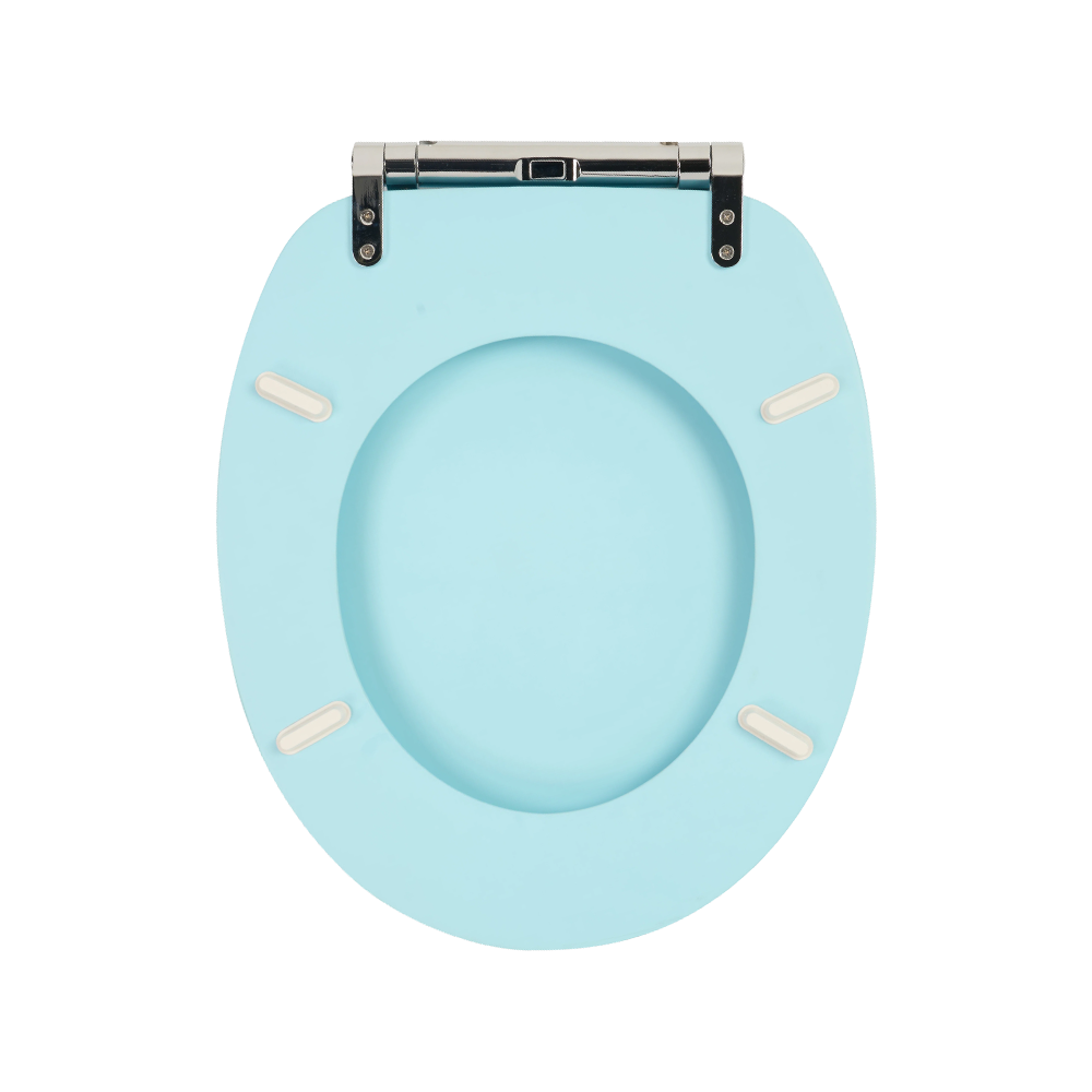 Sky blue matte skin-like textured molded toilet seat Sky blue matte skin-like textured molded toilet seat