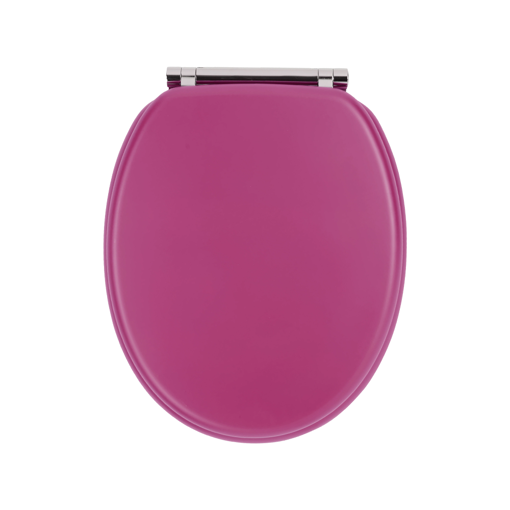 Purple matte skin-like finish molded toilet seat Purple matte skin-like finish molded toilet seat