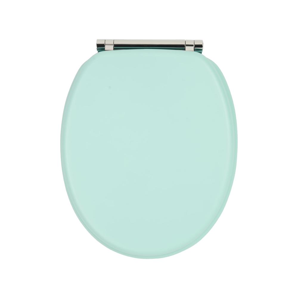 Mint-colored matte skin-like textured molded toilet seat Mint-colored matte skin-like textured molded toilet seat