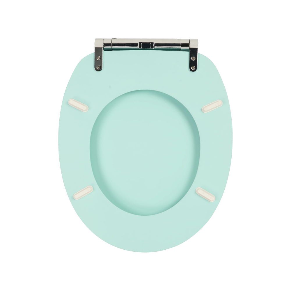 Mint-colored matte skin-like textured molded toilet seat Mint-colored matte skin-like textured molded toilet seat