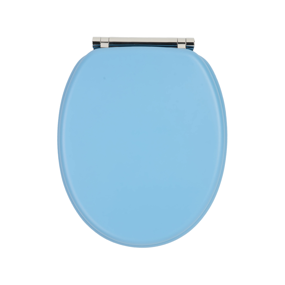 Sea blue matte skin-like textured molded toilet seat Sea blue matte skin-like textured molded toilet seat