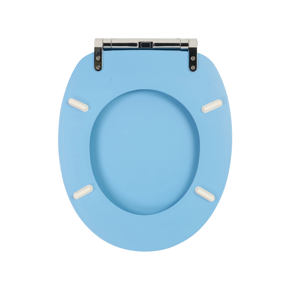 Sea blue matte skin-like textured molded toilet seat Sea blue matte skin-like textured molded toilet seat