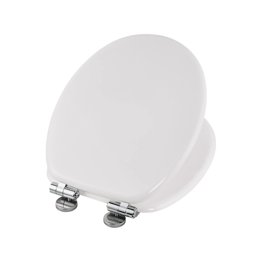 White high-gloss molded toilet seat White high-gloss molded toilet seat