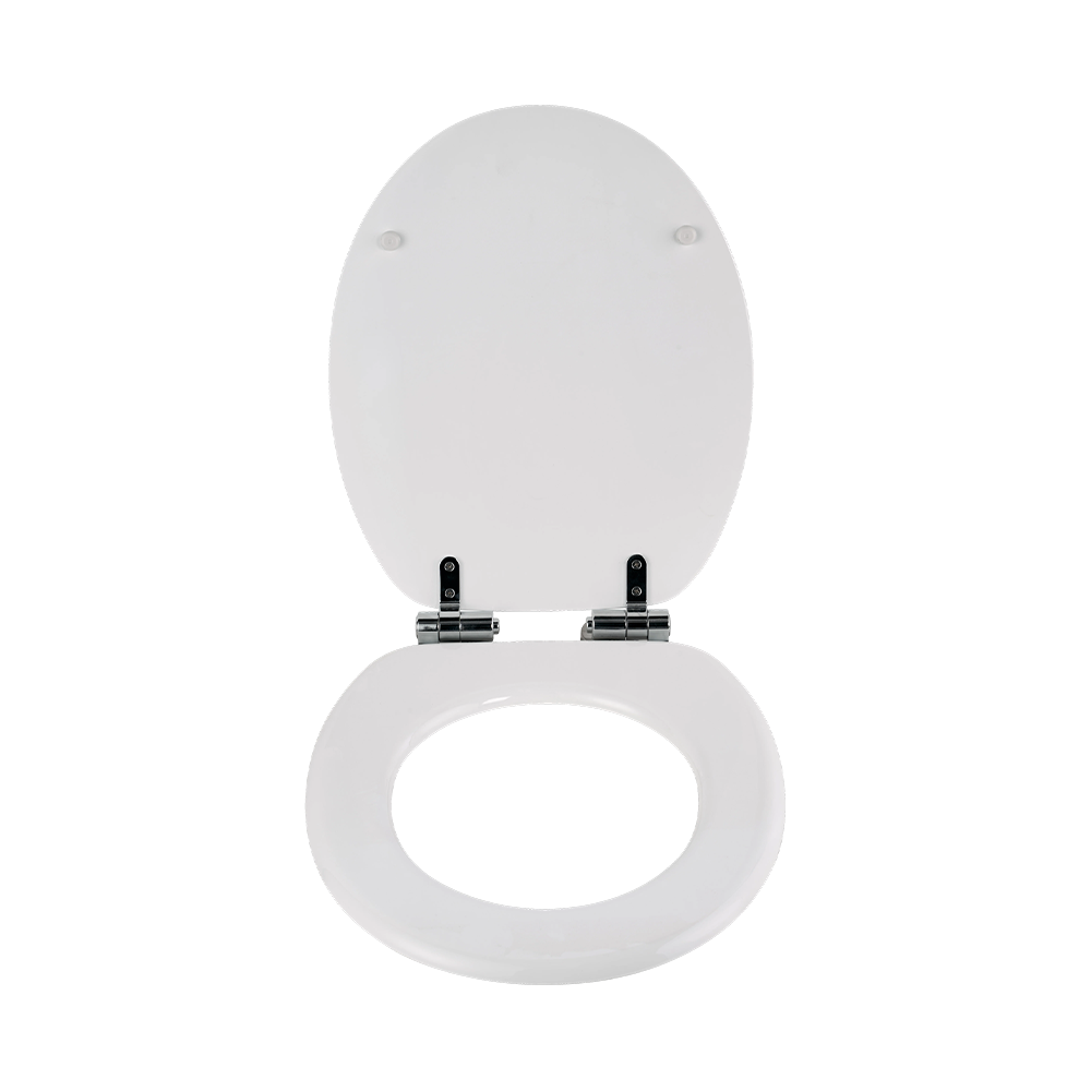 White high-gloss molded toilet seat White high-gloss molded toilet seat