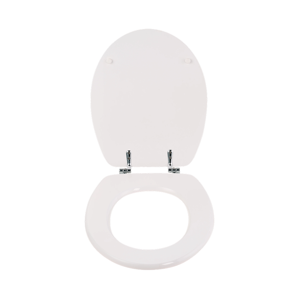 White high-gloss molded toilet seat White high-gloss molded toilet seat