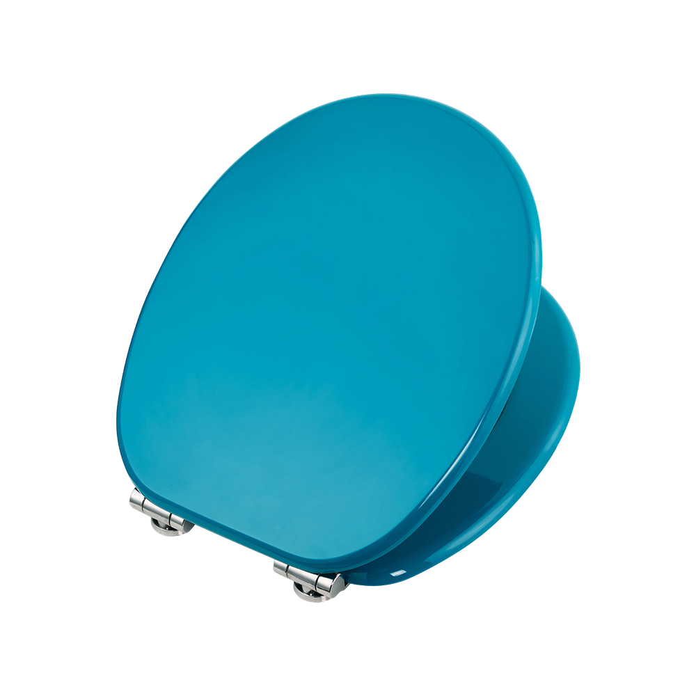 Blue high-gloss molded toilet seat Blue high-gloss molded toilet seat