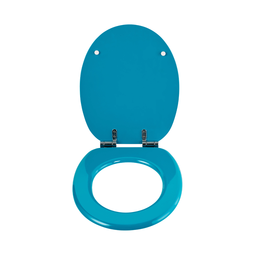 Blue high-gloss molded toilet seat Blue high-gloss molded toilet seat
