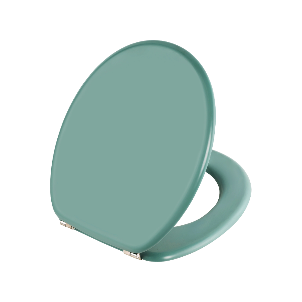 Green matte molded toilet seat Green matte molded toilet seat