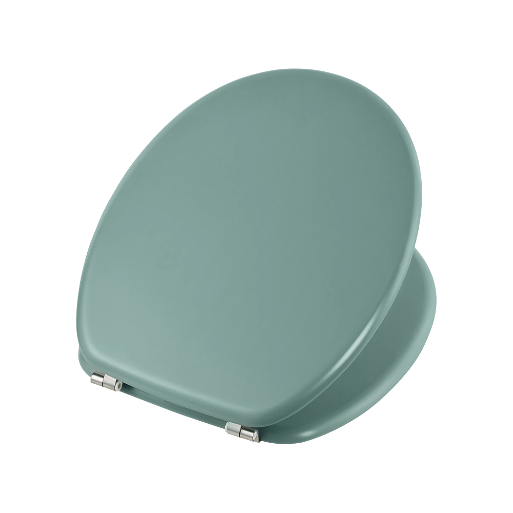 Green matte molded toilet seat Green matte molded toilet seat