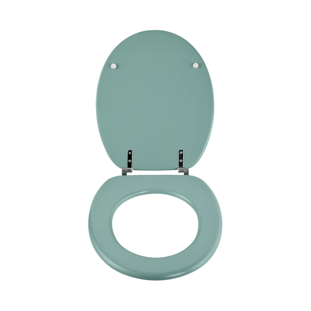 Green matte molded toilet seat Green matte molded toilet seat