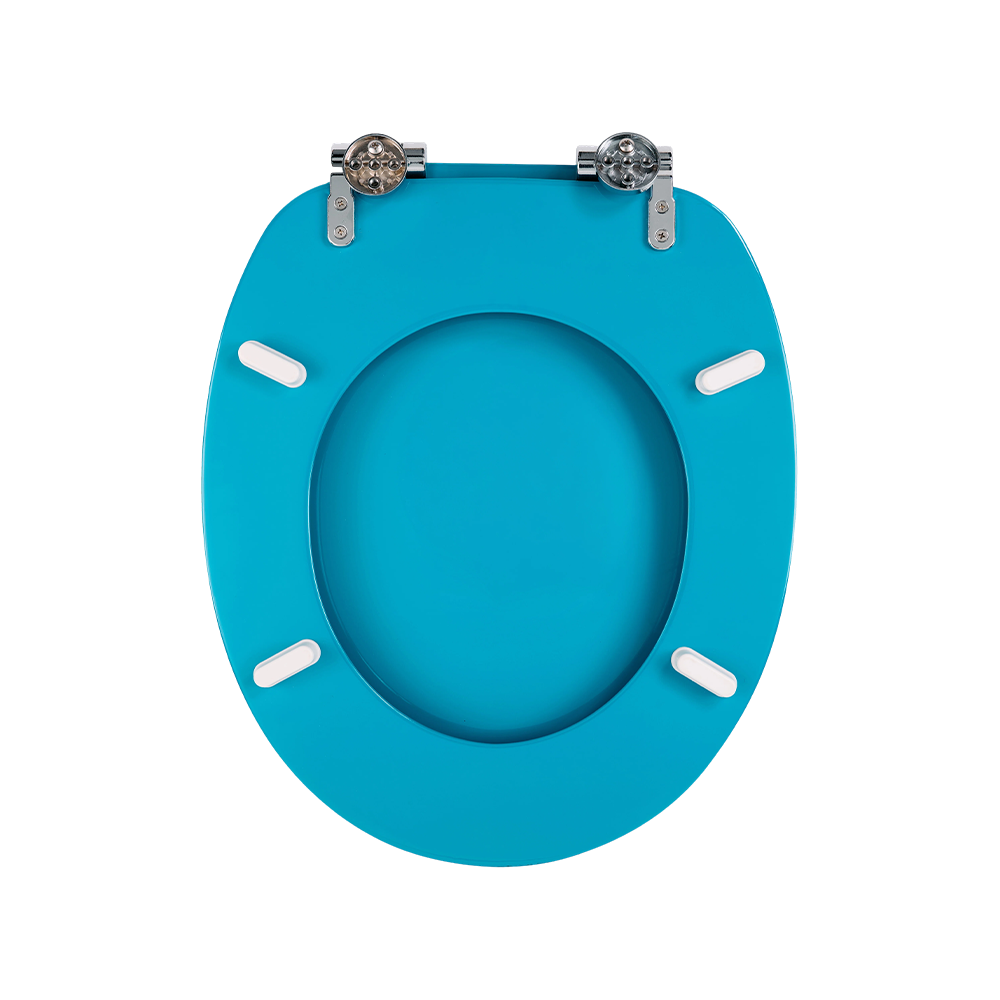 Blue high-gloss molded toilet seat Blue high-gloss molded toilet seat