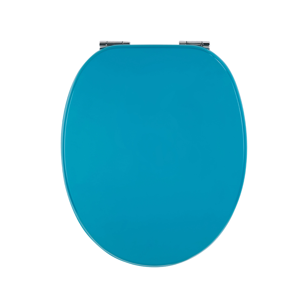 Blue high-gloss molded toilet seat Blue high-gloss molded toilet seat