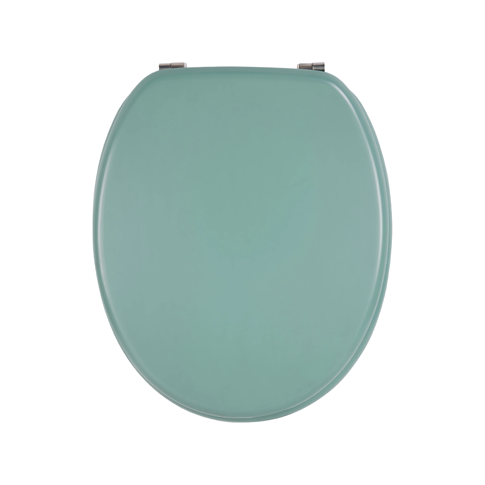 Green matte molded toilet seat Green matte molded toilet seat