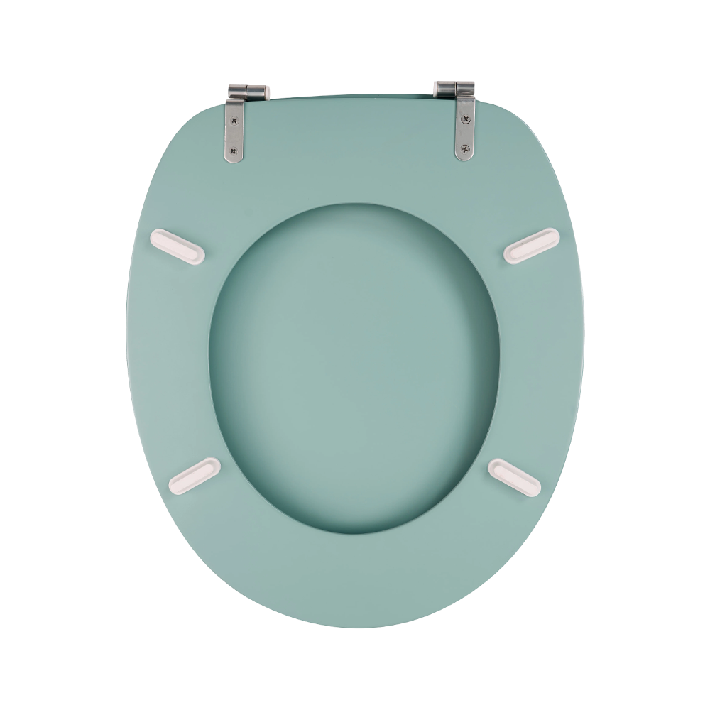 Green matte molded toilet seat Green matte molded toilet seat