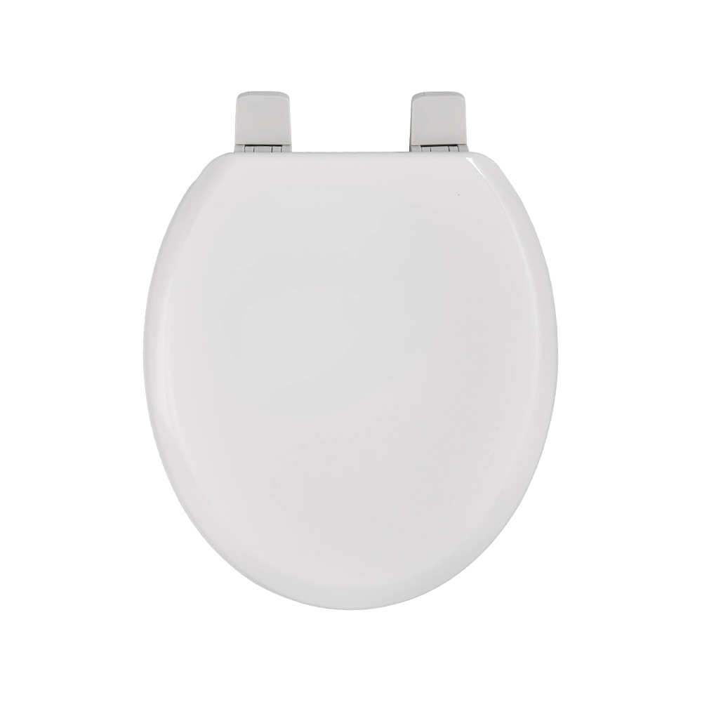 Glossy white molded toilet seat Glossy white molded toilet seat