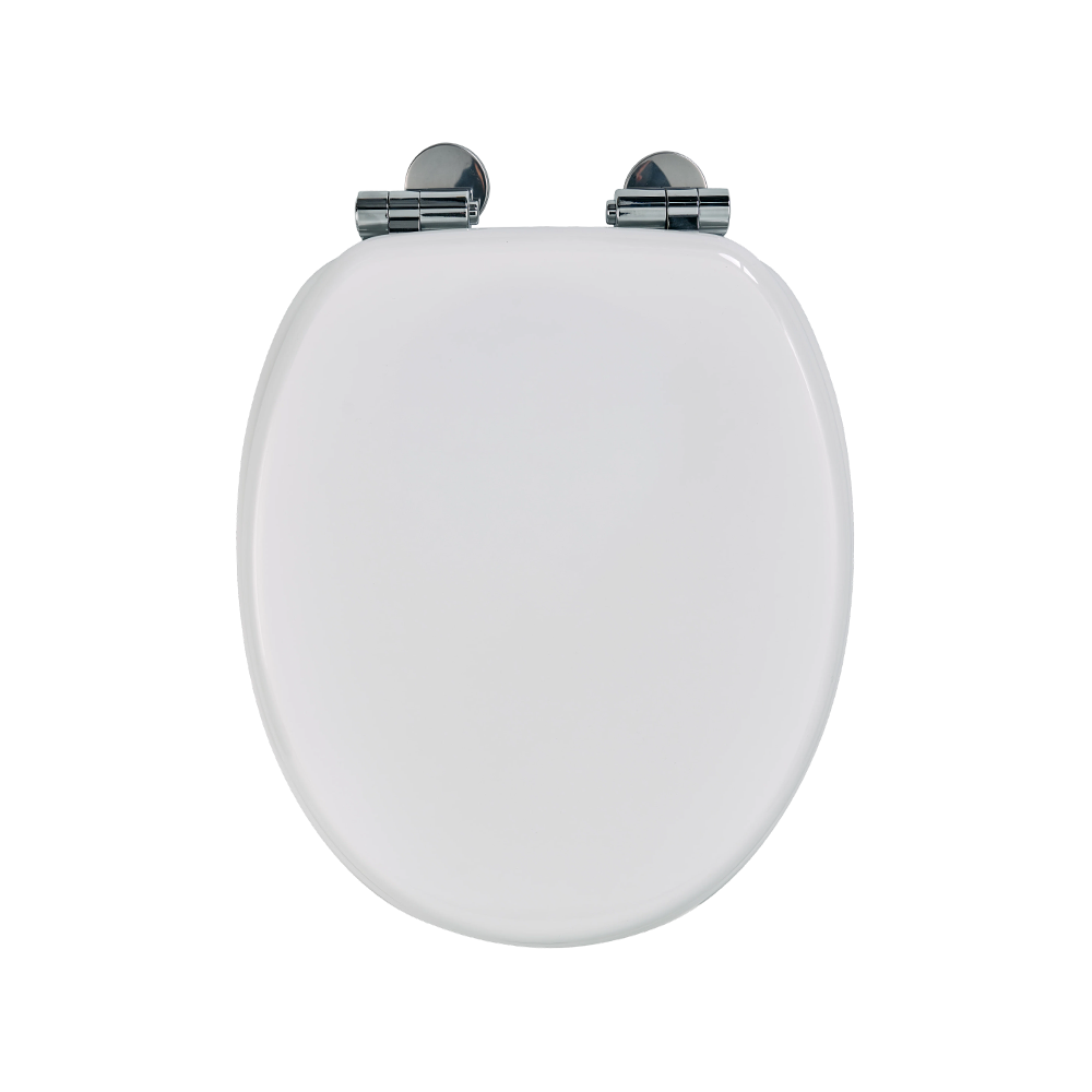 White high-gloss molded toilet seat White high-gloss molded toilet seat